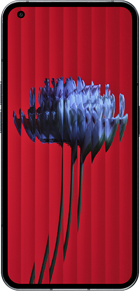 Nothing Phone (1) Schwarz